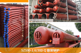 中正鍋爐為確保鍋爐項目順利展，向巴基斯坦提供了專業(yè)的技術(shù)指導(dǎo)